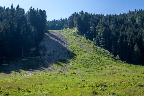 stock image Amazing Summer landscape of Rila Mountain near Malyovitsa peak, Bulgaria