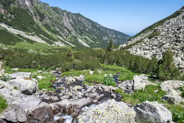 stock image Amazing Summer landscape of Rila Mountain near Malyovitsa peak, Bulgaria