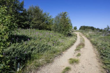 Bulgaristan 'ın Blagoevgrad bölgesinin Kongur tepesi çevresindeki Belasitsa Dağı yaz manzarası