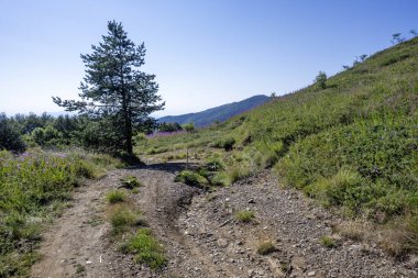 Bulgaristan 'ın Blagoevgrad bölgesinin Kongur tepesi çevresindeki Belasitsa Dağı yaz manzarası