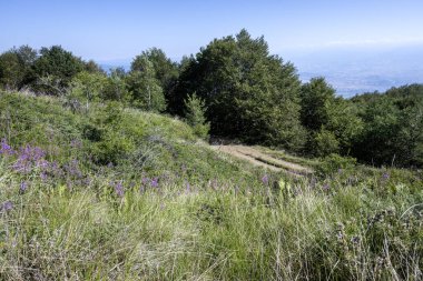 Bulgaristan 'ın Blagoevgrad bölgesinin Kongur tepesi çevresindeki Belasitsa Dağı yaz manzarası