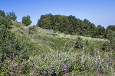 Bulgaristan 'ın Blagoevgrad bölgesinin Kongur tepesi çevresindeki Belasitsa Dağı yaz manzarası