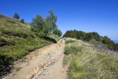 Bulgaristan 'ın Blagoevgrad bölgesinin Kongur tepesi çevresindeki Belasitsa Dağı yaz manzarası