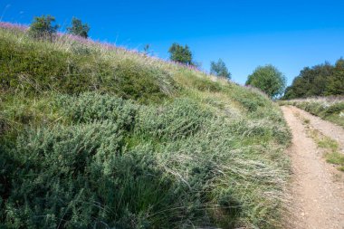 Bulgaristan 'ın Blagoevgrad bölgesinin Kongur tepesi çevresindeki Belasitsa Dağı yaz manzarası
