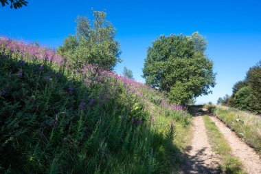 Bulgaristan 'ın Blagoevgrad bölgesinin Kongur tepesi çevresindeki Belasitsa Dağı yaz manzarası