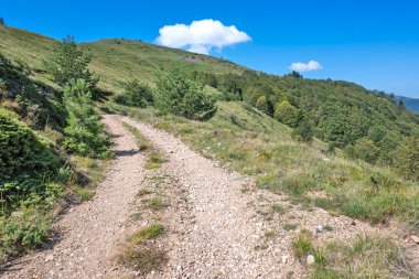 Bulgaristan 'ın Blagoevgrad bölgesinin Kongur tepesi çevresindeki Belasitsa Dağı yaz manzarası