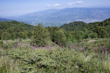 Bulgaristan 'ın Blagoevgrad bölgesinin Kongur tepesi çevresindeki Belasitsa Dağı yaz manzarası