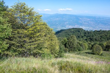 Bulgaristan 'ın Blagoevgrad bölgesinin Kongur tepesi çevresindeki Belasitsa Dağı yaz manzarası