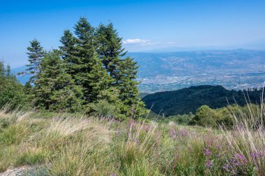 Bulgaristan 'ın Blagoevgrad bölgesinin Kongur tepesi çevresindeki Belasitsa Dağı yaz manzarası