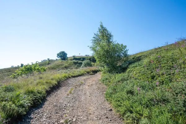 stock image Summer view of Belasitsa Mountain around Kongur peak, Blagoevgrad Region, Bulgaria