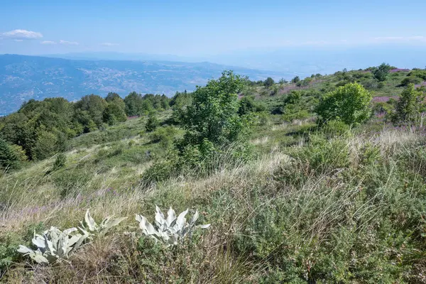 stock image Summer view of Belasitsa Mountain around Kongur peak, Blagoevgrad Region, Bulgaria