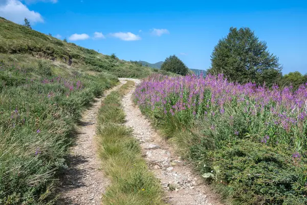 stock image Summer view of Belasitsa Mountain around Kongur peak, Blagoevgrad Region, Bulgaria