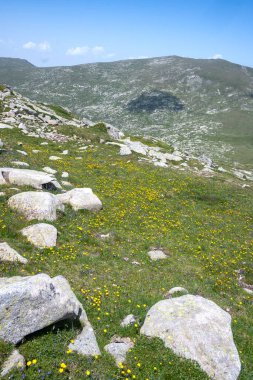 Bulgaristan 'ın Kalin zirvesi yakınlarındaki Rila Dağı' nın şaşırtıcı manzarası