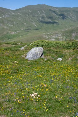 Bulgaristan 'ın Kalin zirvesi yakınlarındaki Rila Dağı' nın şaşırtıcı manzarası