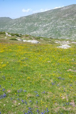 Bulgaristan 'ın Kalin zirvesi yakınlarındaki Rila Dağı' nın şaşırtıcı manzarası