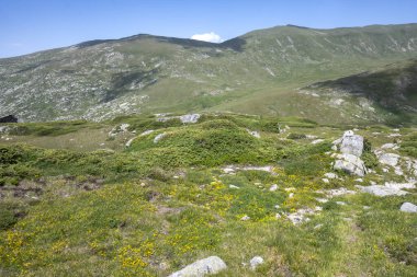 Bulgaristan 'ın Kalin zirvesi yakınlarındaki Rila Dağı' nın şaşırtıcı manzarası