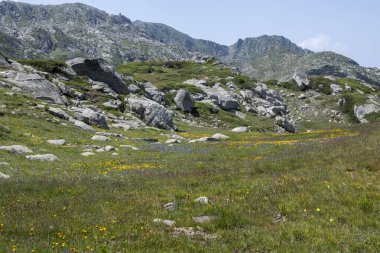Bulgaristan 'ın Kalin zirvesi yakınlarındaki Rila Dağı' nın şaşırtıcı manzarası