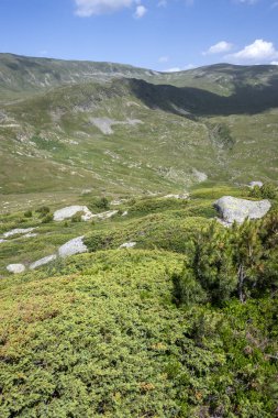 Bulgaristan 'ın Kalin zirvesi yakınlarındaki Rila Dağı' nın şaşırtıcı manzarası