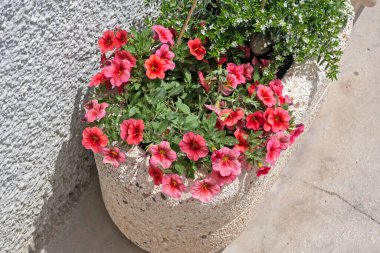 Apulia Bölgesi, İtalya 'nın Alberobello şehrinin muhteşem manzarası.