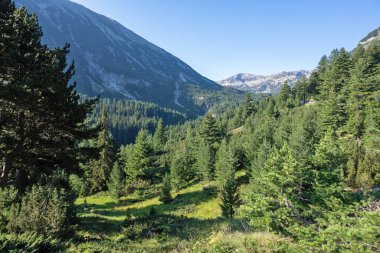 Amazing Summer view of Pirin Mountain around Banderitsa River, Bulgaria