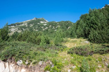Amazing Summer view of Pirin Mountain around Banderitsa River, Bulgaria