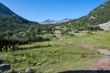 Amazing Summer view of Pirin Mountain around Banderitsa River, Bulgaria
