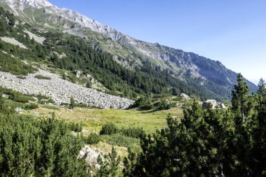 Amazing Summer view of Pirin Mountain around Banderitsa River, Bulgaria