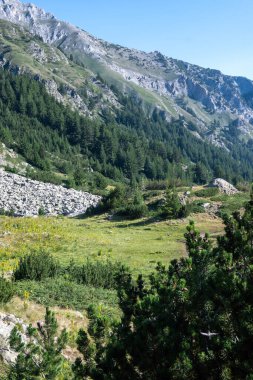 Amazing Summer view of Pirin Mountain around Banderitsa River, Bulgaria