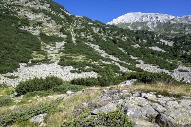 Amazing Summer view of Pirin Mountain around Banderitsa River, Bulgaria