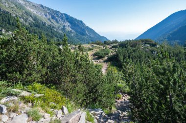 Amazing Summer view of Pirin Mountain around Banderitsa River, Bulgaria clipart