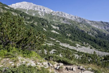 Amazing Summer view of Pirin Mountain around Banderitsa River, Bulgaria