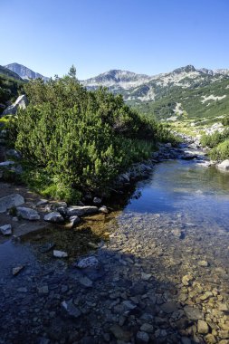 Amazing Summer view of Pirin Mountain around Banderitsa River, Bulgaria