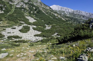 Amazing Summer view of Pirin Mountain around Banderitsa River, Bulgaria