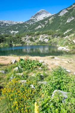 Amazing Summer view of Pirin Mountain around Banderitsa River, Bulgaria
