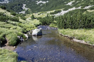 Amazing Summer view of Pirin Mountain around Banderitsa River, Bulgaria