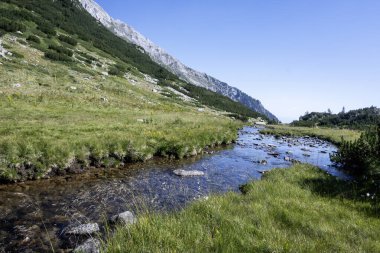 Amazing Summer view of Pirin Mountain around Banderitsa River, Bulgaria