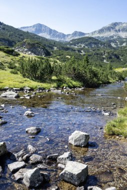 Amazing Summer view of Pirin Mountain around Banderitsa River, Bulgaria