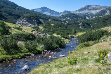 Amazing Summer view of Pirin Mountain around Banderitsa River, Bulgaria