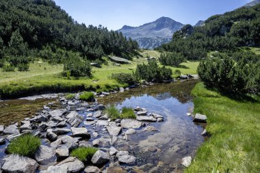 Amazing Summer view of Pirin Mountain around Banderitsa River, Bulgaria