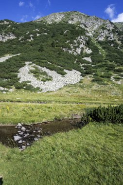 Amazing Summer view of Pirin Mountain around Banderitsa River, Bulgaria