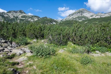 Amazing Summer view of Pirin Mountain around Banderitsa River, Bulgaria