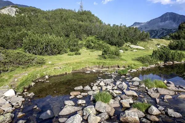 Amazing Summer view of Pirin Mountain around Banderitsa River, Bulgaria