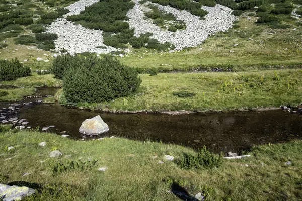 stock image Amazing Summer view of Pirin Mountain around Banderitsa River, Bulgaria