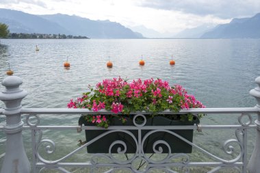 Vevey ve Cenevre Gölü 'nün yaz manzarası, Vaud Kantonu, İsviçre