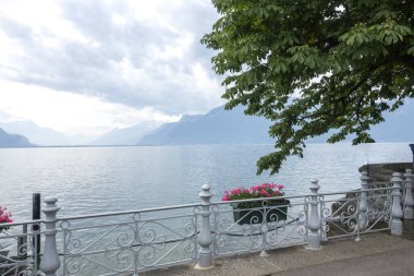 Vevey ve Cenevre Gölü 'nün yaz manzarası, Vaud Kantonu, İsviçre