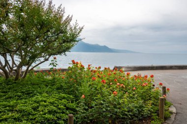 Vevey ve Cenevre Gölü 'nün yaz manzarası, Vaud Kantonu, İsviçre
