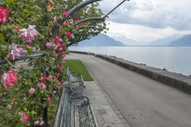 Vevey ve Cenevre Gölü 'nün yaz manzarası, Vaud Kantonu, İsviçre