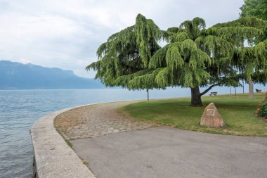 Vevey ve Cenevre Gölü 'nün yaz manzarası, Vaud Kantonu, İsviçre