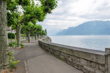 Vevey ve Cenevre Gölü 'nün yaz manzarası, Vaud Kantonu, İsviçre