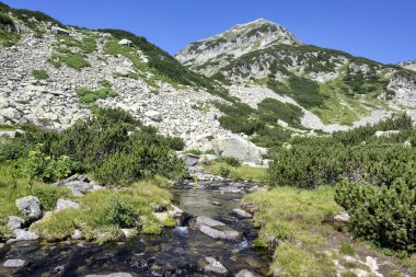 Bulgaristan 'ın Muratovo Gölü etrafındaki Pirin Dağı' nın şaşırtıcı yaz manzarası